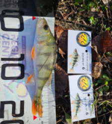 photo prise 52622 par JuGemeau