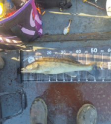 photo prise 52623 par loic