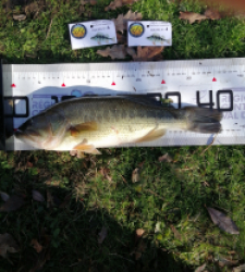 photo prise 52624 par Yoann