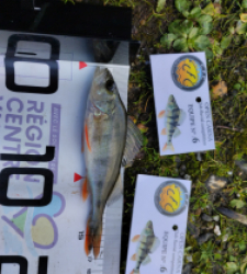 photo prise 52625 par Jéjé 