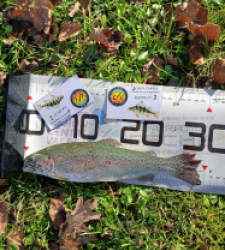 photo prise 52626 par nicolas.baviello