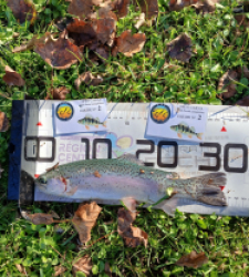 photo prise 52627 par nicolas.baviello