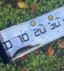 photo prise 52628 par 