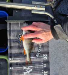 photo prise 52631 par Guigz