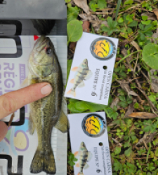 photo prise 52632 par JuGemeau