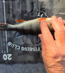 photo prise 52633 par Guigz