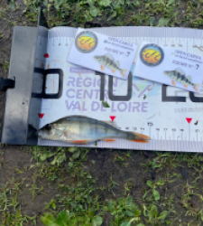 photo prise 52634 par Gio