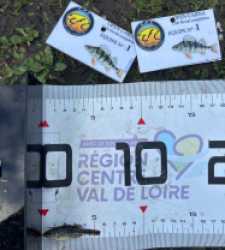 photo prise 52635 par The fisher16