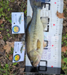 photo prise 52636 par JuGemeau