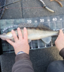 photo prise 52637 par Marco