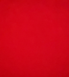 photo prise 52639 par ComptoirDesPêcheurs.com