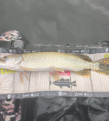 photo prise 52646 par Pierre Burguet