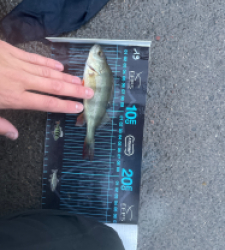 photo prise 52647 par ANTOINE DUBUC