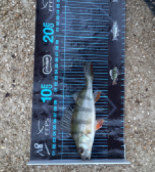 photo prise 52648 par 