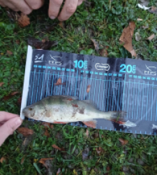 photo prise 52649 par etienneevan481