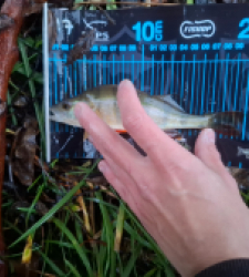 photo prise 52650 par mael.ernst