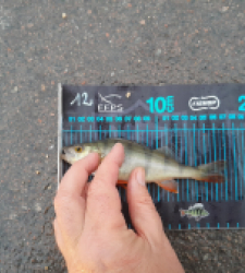 photo prise 52656 par JEAN RENE DENNETIERE