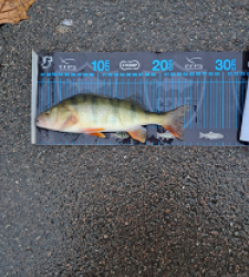 photo prise 52658 par gege10