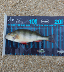 photo prise 52659 par drouard.ludovic6