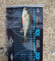 photo prise 52661 par ANTOINE DUBUC