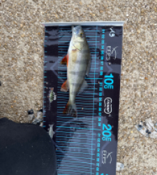 photo prise 52662 par ANTOINE DUBUC