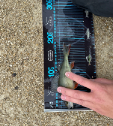 photo prise 52663 par ANTOINE DUBUC