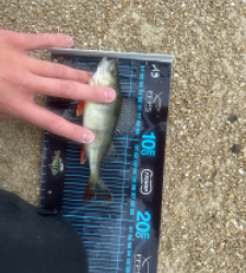 photo prise 52664 par ANTOINE DUBUC