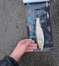 photo prise 52665 par gege10