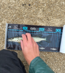 photo prise 52666 par ANTOINE DUBUC