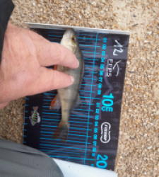 photo prise 52669 par JEAN RENE DENNETIERE