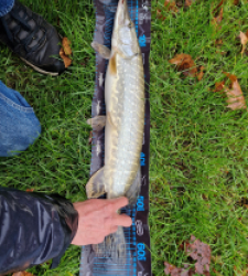 photo prise 52672 par emmanuellapergue