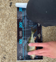 photo prise 52673 par ANTOINE DUBUC