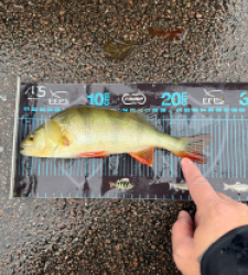 photo prise 52674 par Crazy Fish