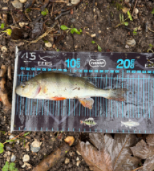 photo prise 52679 par Crazy Fish