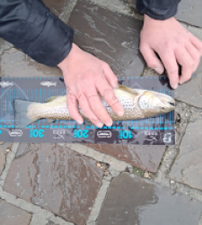 photo prise 52681 par gege10