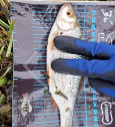 photo prise 52683 par Rico