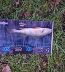 photo prise 52687 par gege10