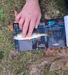 photo prise 52689 par gege10