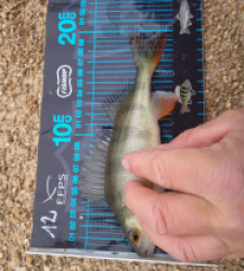 photo prise 52690 par JEAN RENE DENNETIERE