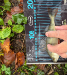 photo prise 52691 par Crazy Fish