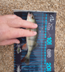 photo prise 52692 par JEAN RENE DENNETIERE