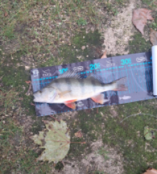 photo prise 52694 par gege10