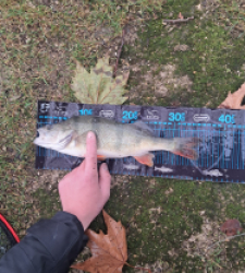 photo prise 52696 par gege10