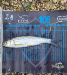 photo prise 52697 par 