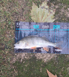 photo prise 52698 par gege10