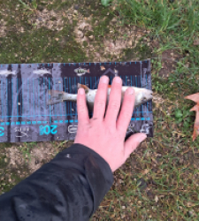 photo prise 52700 par gege10