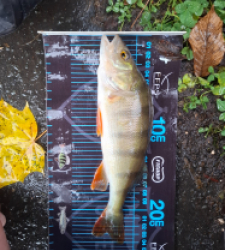 photo prise 52701 par mael.ernst