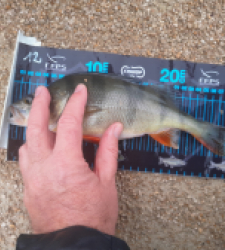 photo prise 52702 par JEAN RENE DENNETIERE