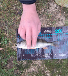 photo prise 52703 par gege10