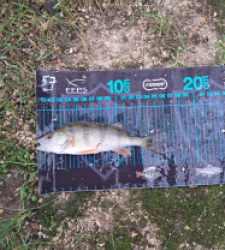 photo prise 52704 par gege10